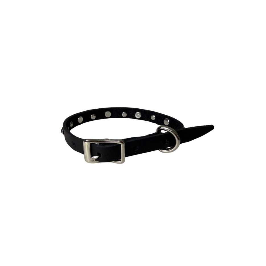 Mini Starry Night  Pet Collar