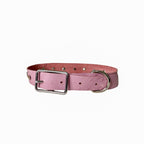 Grande Pink Pony Pet Collar