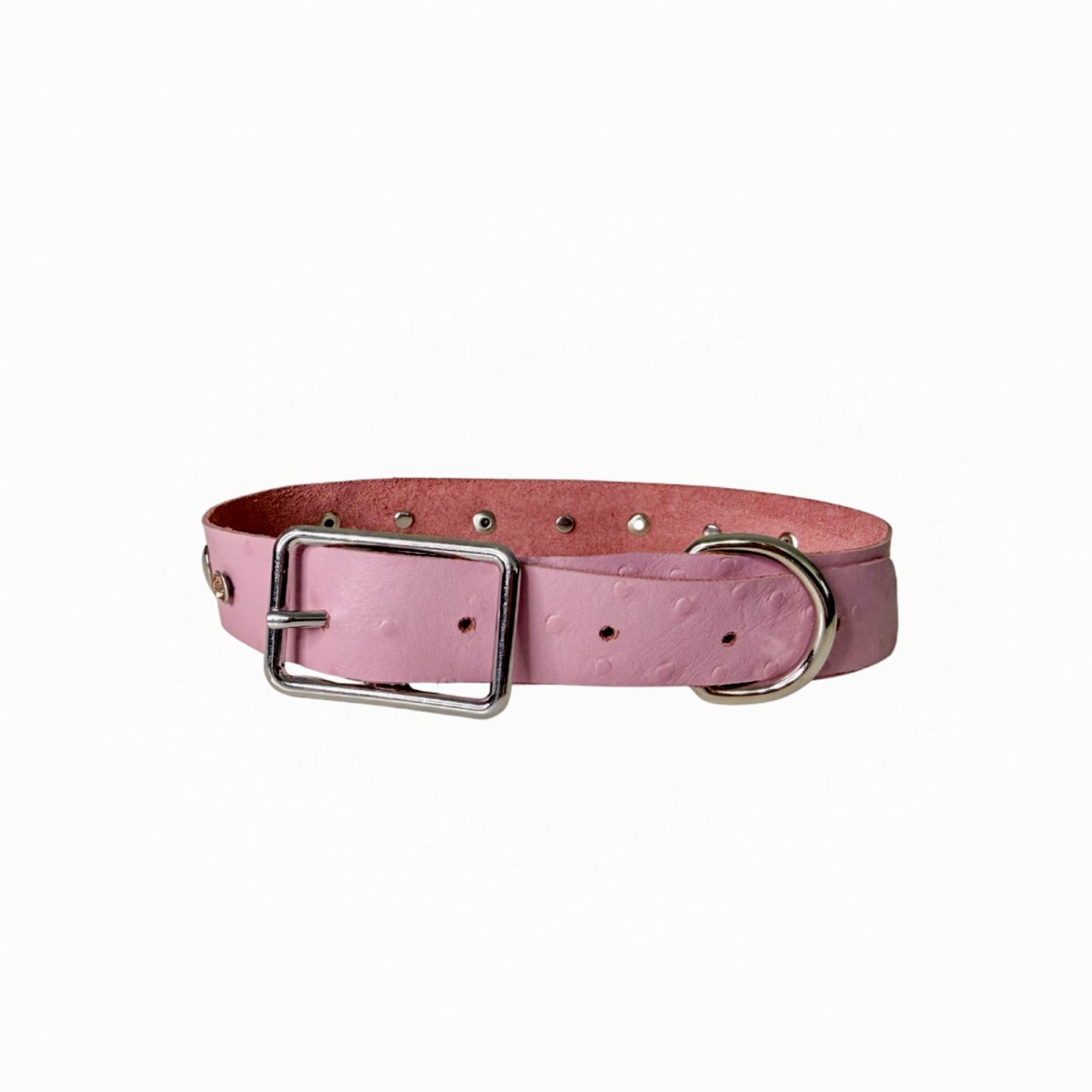 Grande Pink Pony Pet Collar