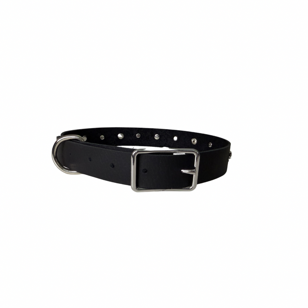 Grande Starry Night Pet Collar