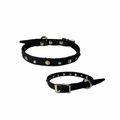 Mini Starry Night  Pet Collar