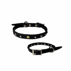 Mini Starry Night  Pet Collar