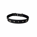 Grande Starry Night Pet Collar