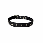Grande Starry Night Pet Collar