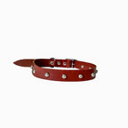 The Standard Vintage Red Pet Collar
