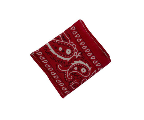 Bandana Coin Pouch